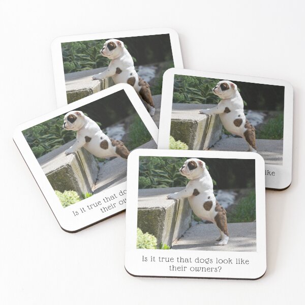 Item preview, Is it true that dogs look like their owners? Little Bulldog pup, standing on hind legs, front paws on the next step, with a big belly sticking out designed and sold by JellyBeenzz.