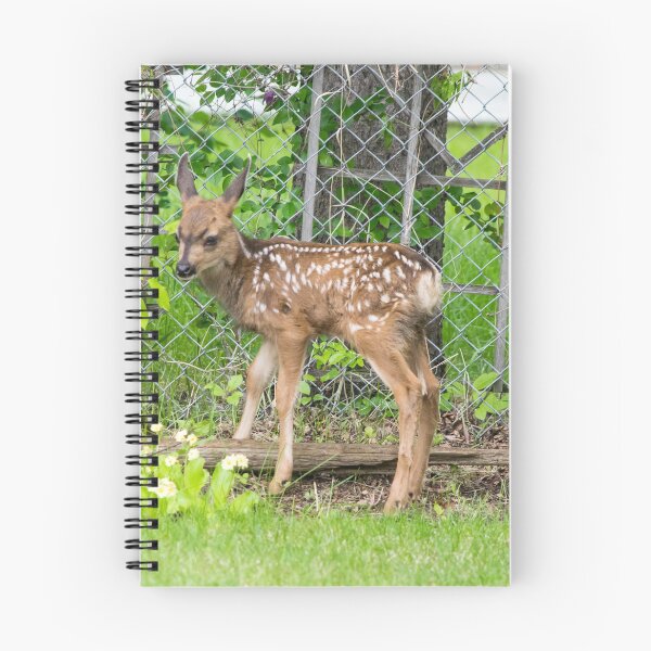 Item preview, Baby twin deer designed and sold by CanadianWild418.