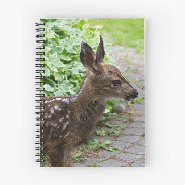 Item preview, Baby Mule Deer designed and sold by CanadianWild418.