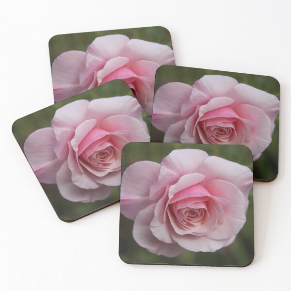 Artikelvorschau, Pinke Rose entworfen und verkauft von photosbyastra.