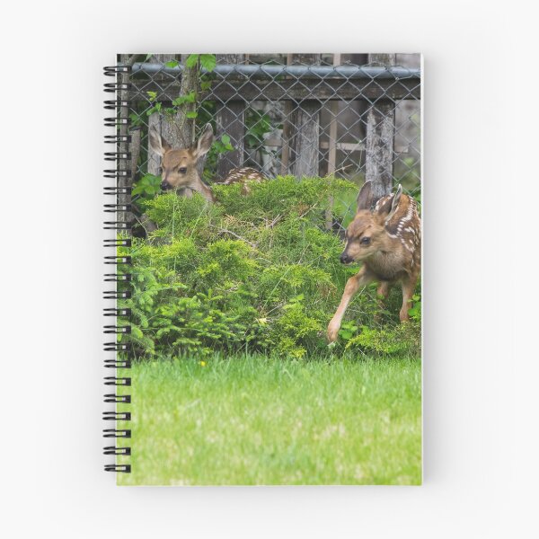 Item preview, Twin deer exploring designed and sold by CanadianWild418.