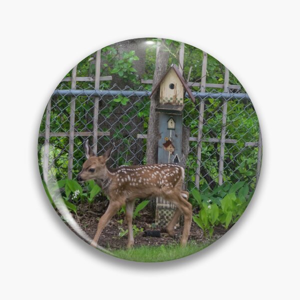 Item preview, Baby twin deer exploring my yard designed and sold by CanadianWild418.