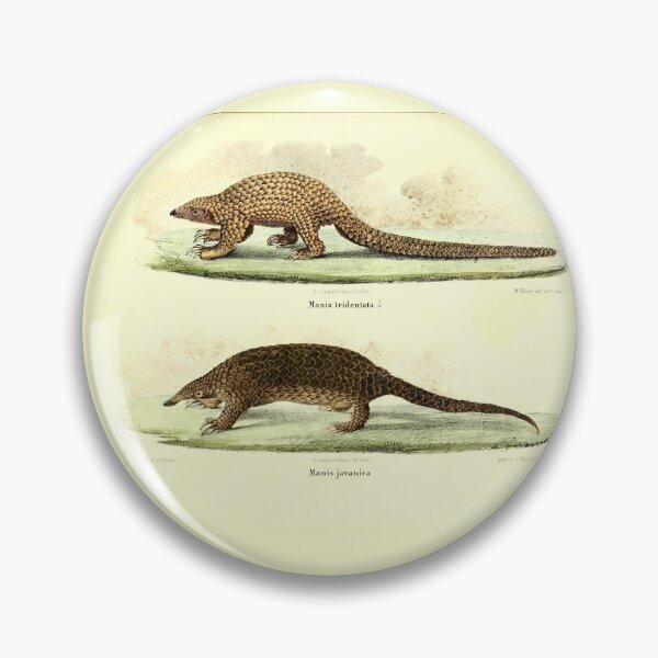 Item preview, Pangolin Illustration  designed and sold by Amanda1775.