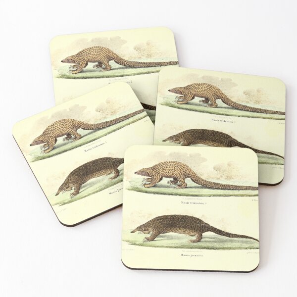 Item preview, Pangolin Illustration  designed and sold by Amanda1775.