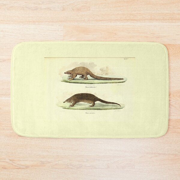Item preview, Pangolin Illustration  designed and sold by Amanda1775.