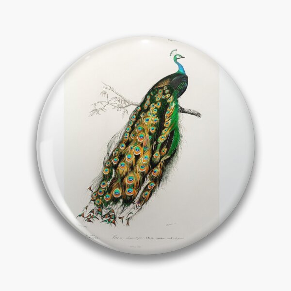 Item preview,  Historic Peacock designed and sold by kcoates783.