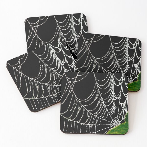 Item preview, Spider Web designed and sold by BRENDA DOHERTY.