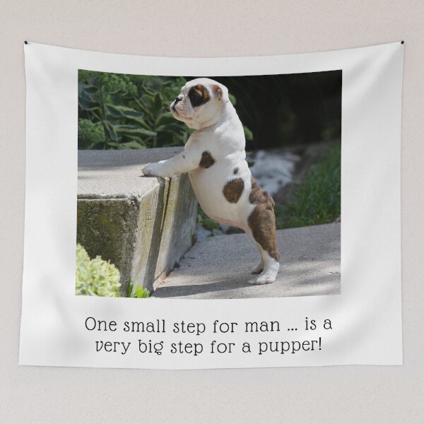 Item preview, One small step for man, is a very big step for a pupper! Little Bulldog pup, standing on hind legs, front paws on the next step designed and sold by JellyBeenzz.