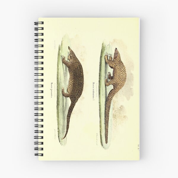 Item preview, Pangolin Illustration  designed and sold by Amanda1775.