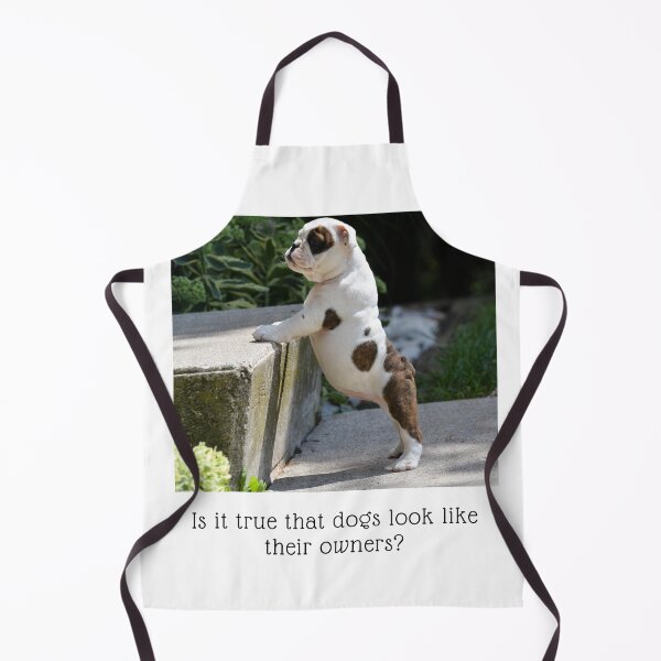 Item preview, Is it true that dogs look like their owners? Little Bulldog pup, standing on hind legs, front paws on the next step, with a big belly sticking out designed and sold by JellyBeenzz.