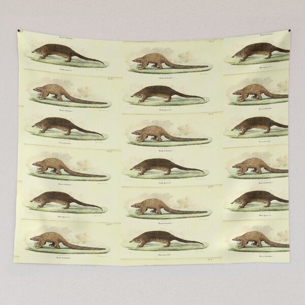 Item preview, Pangolin Illustration  designed and sold by Amanda1775.