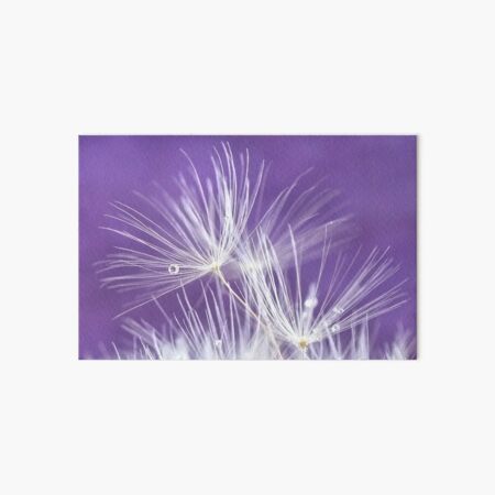Dandelion Art Board Print