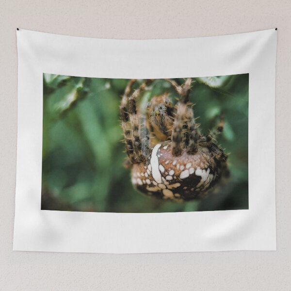 Item preview, Spider in the woods designed and sold by ToniStauche.