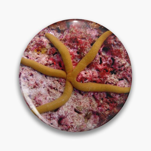 Item preview, Starfish underwater designed and sold by OMdesigns93.