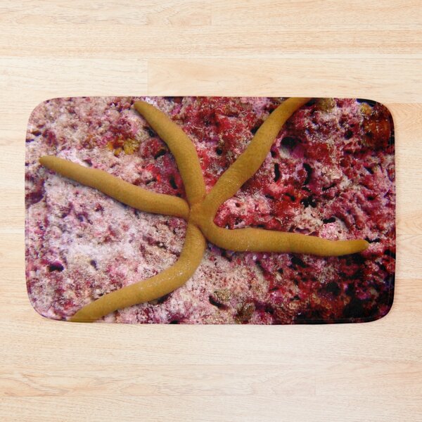 Item preview, Starfish underwater designed and sold by OMdesigns93.