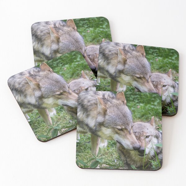Item preview, Domestic wolf parents designed and sold by raphotography88.