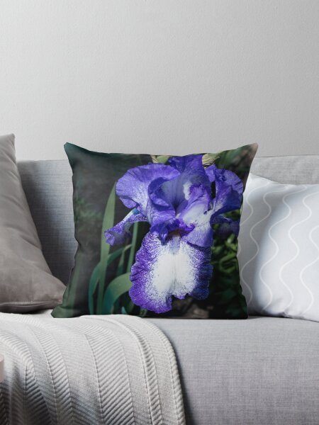 Item preview, Iris in bloom designed and sold by CanadianWild418.