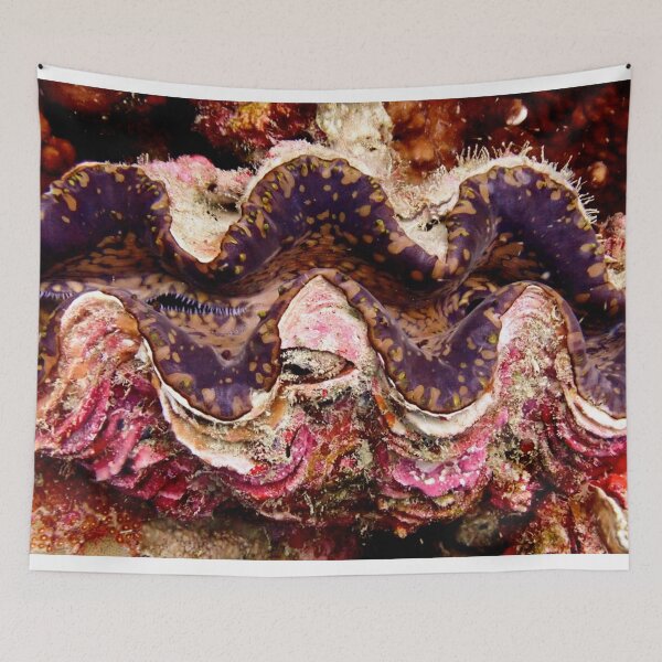 Item preview, Underwater seashell designed and sold by OMdesigns93.