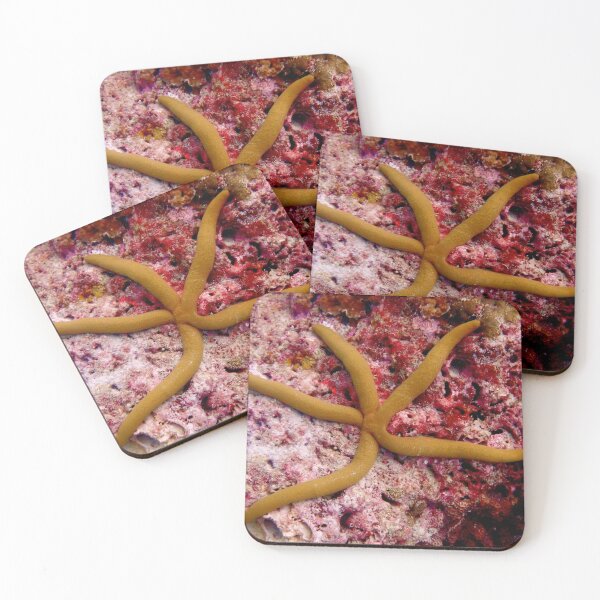 Item preview, Starfish underwater designed and sold by OMdesigns93.