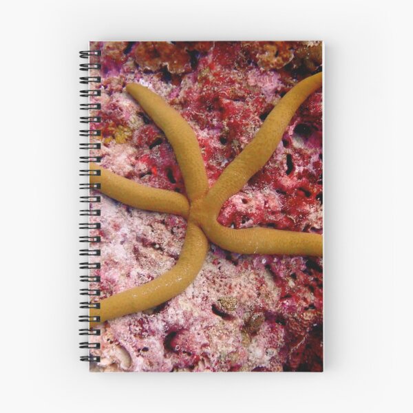 Item preview, Starfish underwater designed and sold by OMdesigns93.