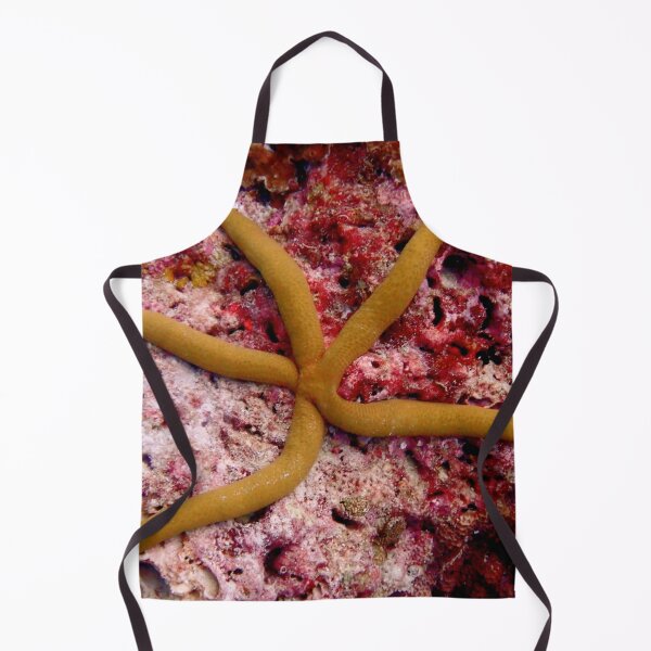 Item preview, Starfish underwater designed and sold by OMdesigns93.