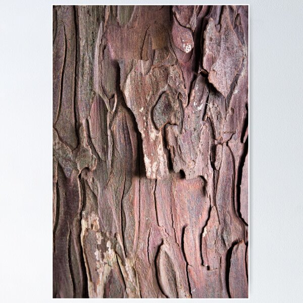 Item preview, Ancient Yew Bark designed and sold by JEZ22.