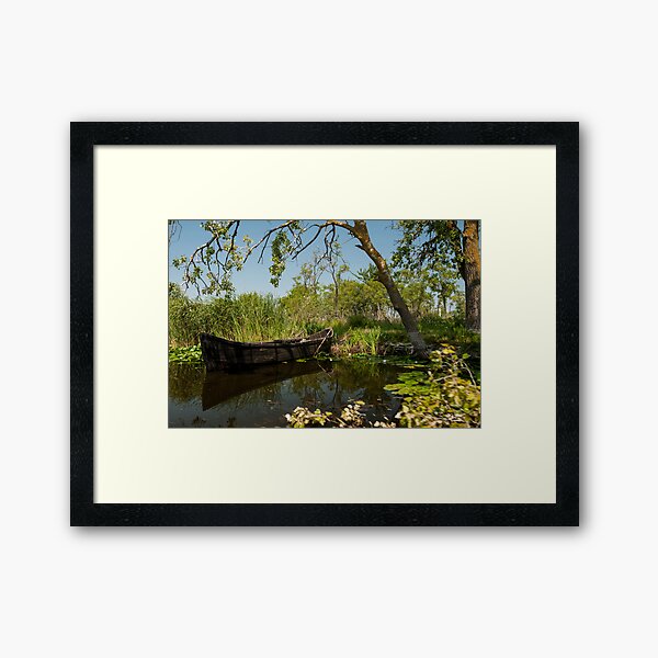 Cardon Framed Art Print
