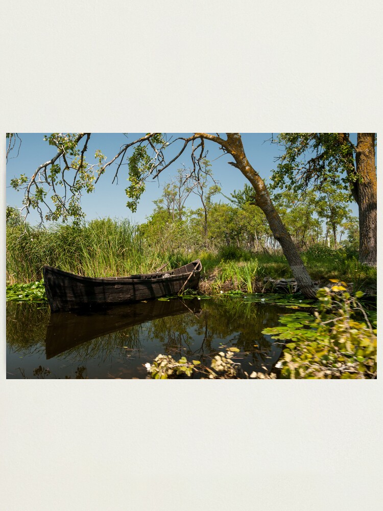 Alternate view of Cardon Photographic Print
