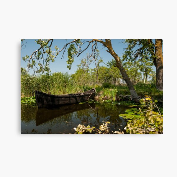 Cardon Canvas Print