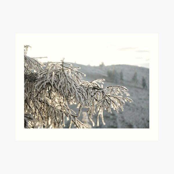 Snow Art Print