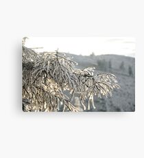 Snow Canvas Print