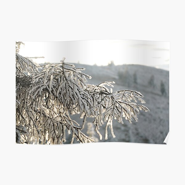 Snow Poster