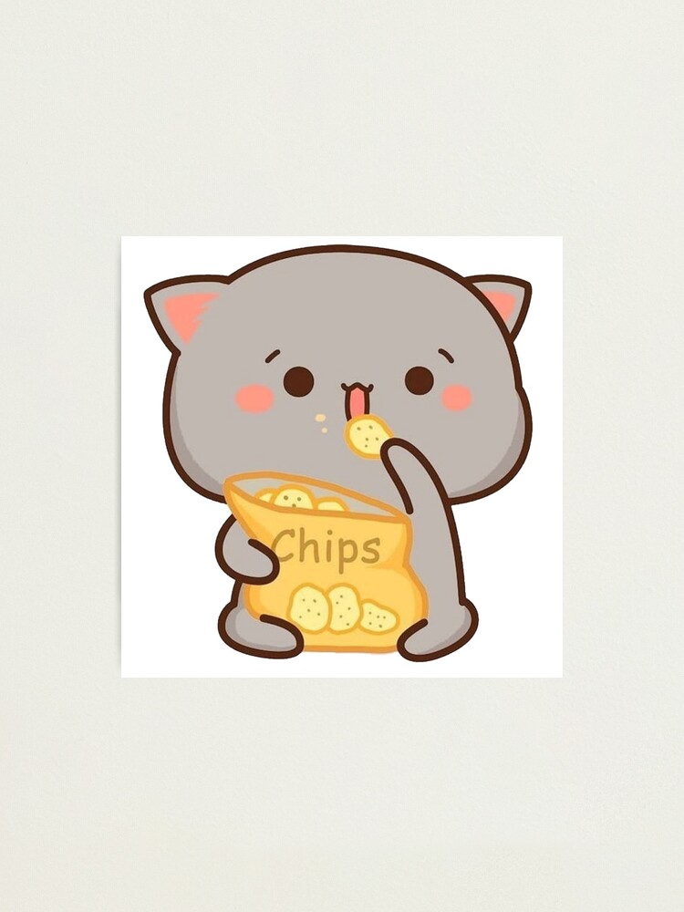 cat eating chips