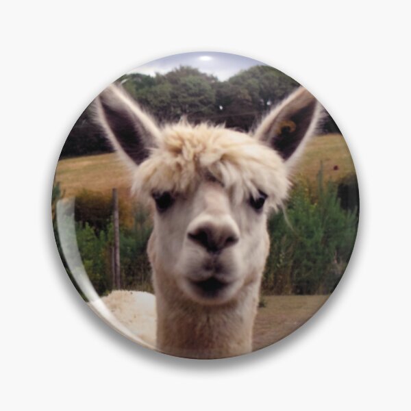Item preview, Alpaca | Alpaka | Photography  designed and sold by aloresarts.