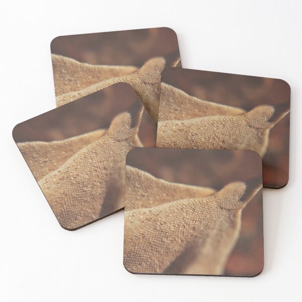 Item preview, Horn Wrack (Flustra foliacea) designed and sold by Kathleen Daley.