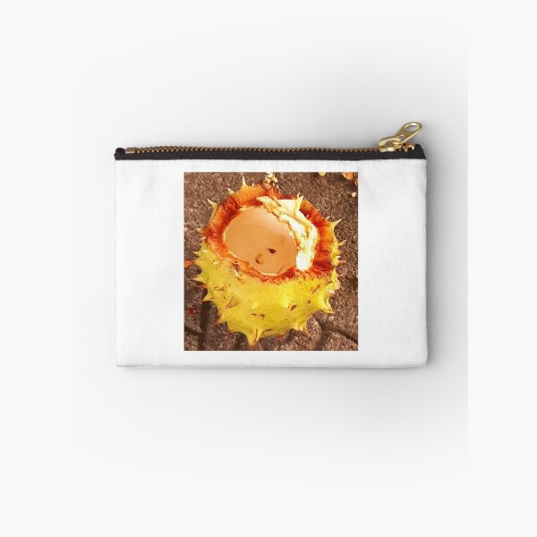 Item preview, Who ate the conker?  designed and sold by Emma  Amies.