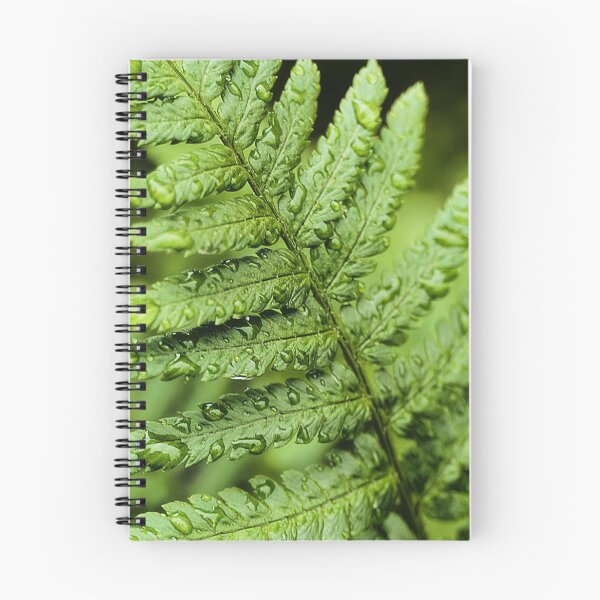 Item preview, close up of fern after a rainy day in the forest designed and sold by ToniStauche.