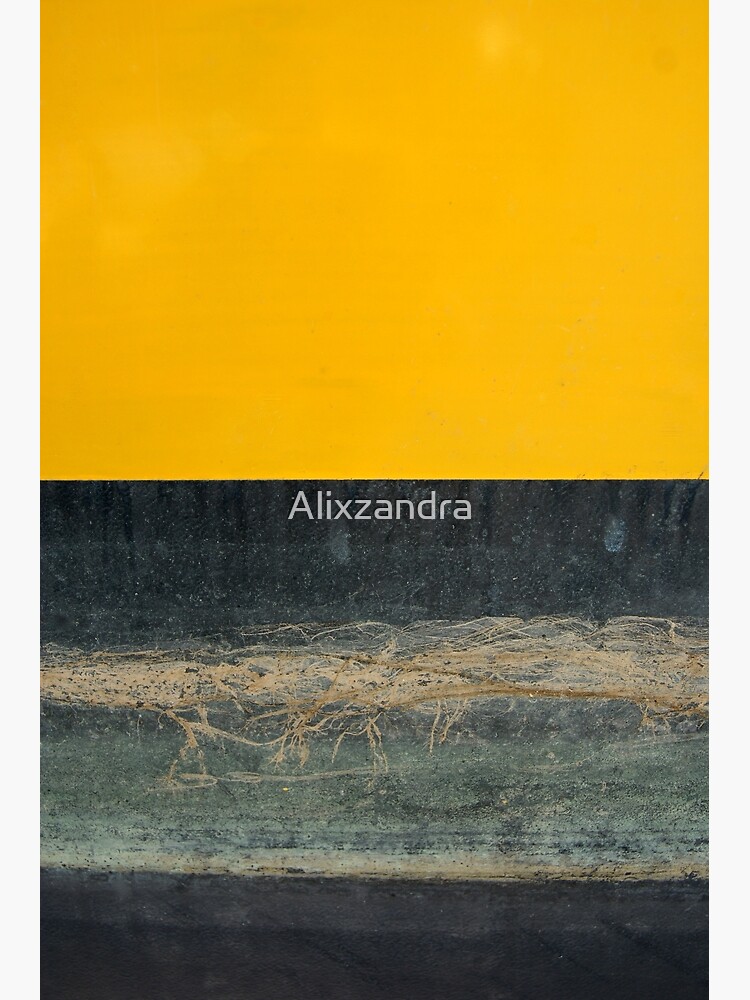 Gelb auf Blau von Alixzandra