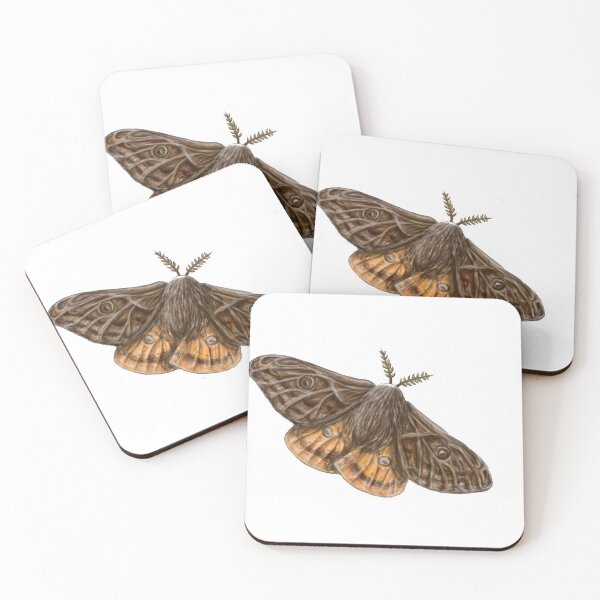 Item preview, Moth Study designed and sold by kmdart.