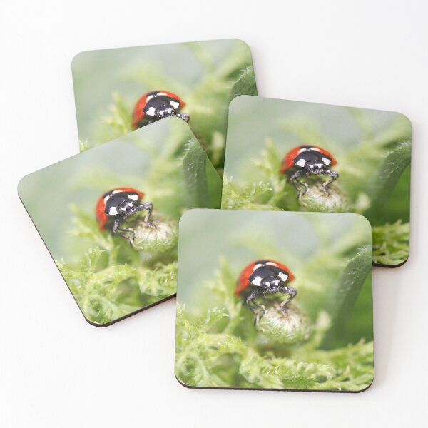 Item preview, Hunting ladybird designed and sold by GreyFeatherPhot.