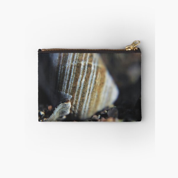 Item preview, Common Periwinkle (Littorina littorea) Shell designed and sold by Kathleen Daley.