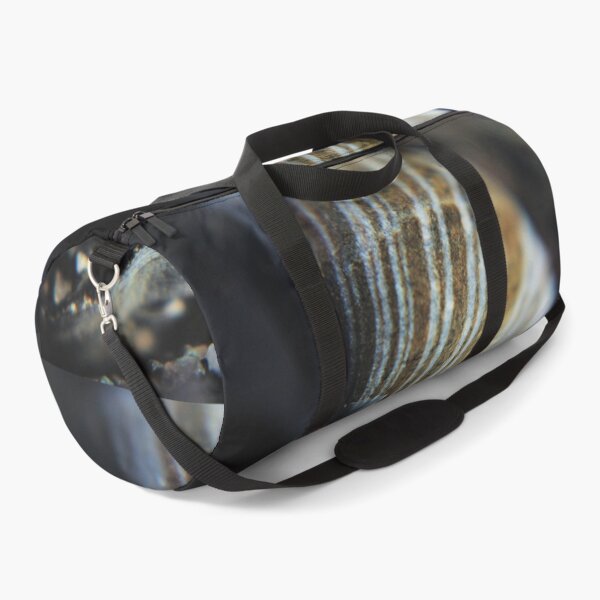 Item preview, Common Periwinkle (Littorina littorea) Shell designed and sold by Kathleen Daley.