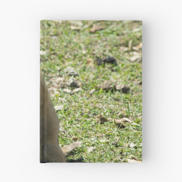 Item preview, Richardson ground squirrel designed and sold by CanadianWild418.