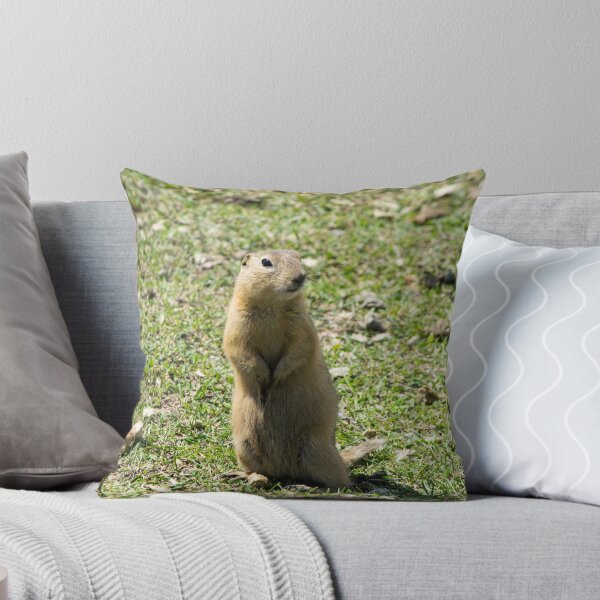 Item preview, Richardson ground squirrel designed and sold by CanadianWild418.