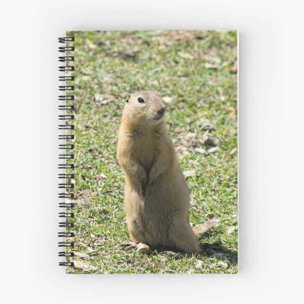 Item preview, Richardson ground squirrel designed and sold by CanadianWild418.
