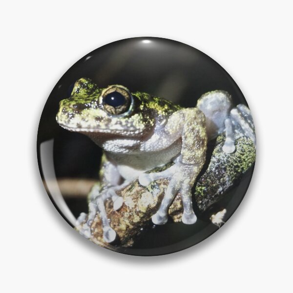 Item preview, Waterfall Frog (Litoria nannotis) designed and sold by Brenna Costello.