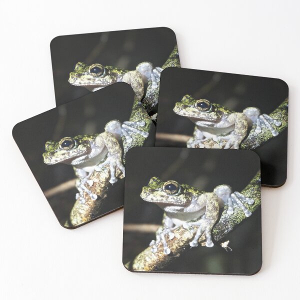 Item preview, Waterfall Frog (Litoria nannotis) designed and sold by Brenna Costello.