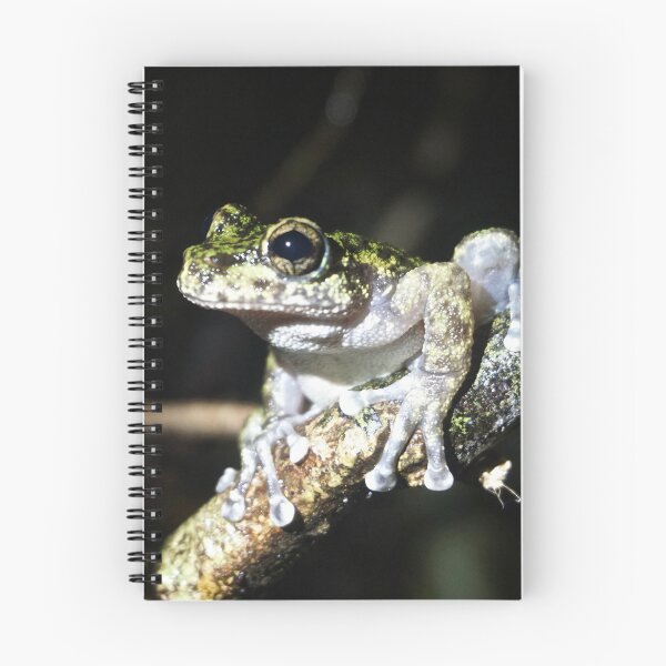 Item preview, Waterfall Frog (Litoria nannotis) designed and sold by Brenna Costello.
