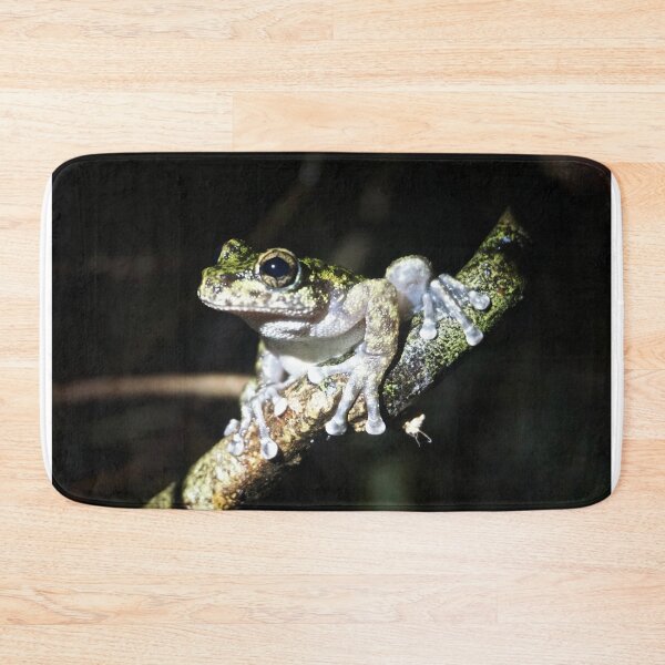 Item preview, Waterfall Frog (Litoria nannotis) designed and sold by Brenna Costello.