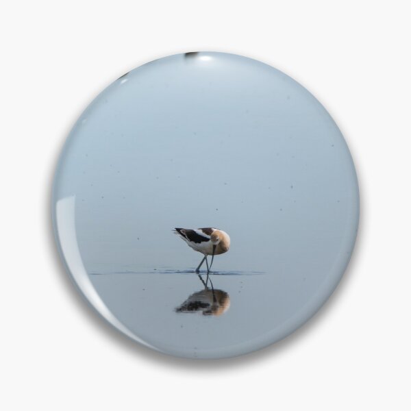 Item preview, American Avocets designed and sold by CanadianWild418.